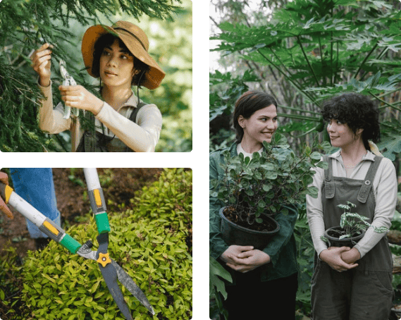 یک دهه فعالیت